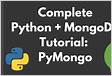 PyMongo Tutorial MongoDB And Python MongoD